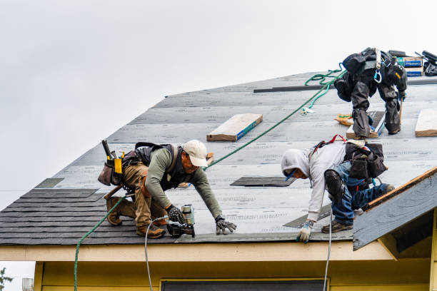 Professional Gutter Installation technician working in South Haven, MN